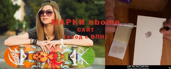 индика Арсеньев