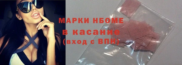 индика Арсеньев