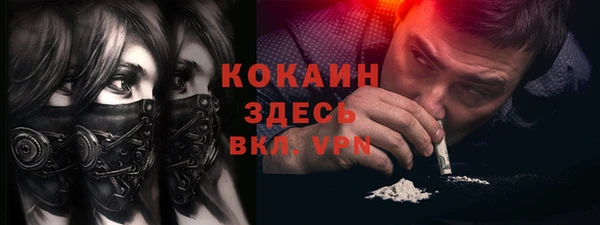 индика Арсеньев