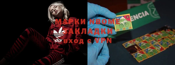 индика Арсеньев