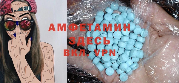 индика Арсеньев