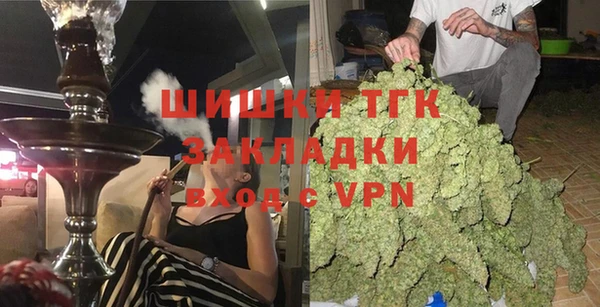индика Арсеньев