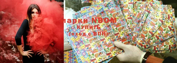 индика Арсеньев
