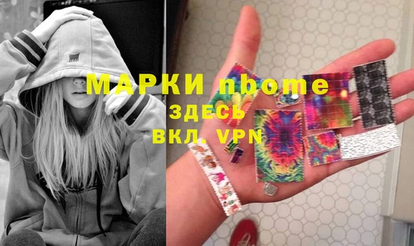 индика Арсеньев