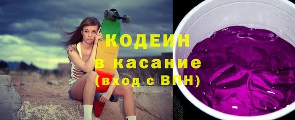 индика Арсеньев