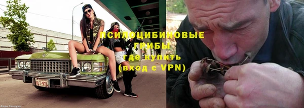 стаф Армянск
