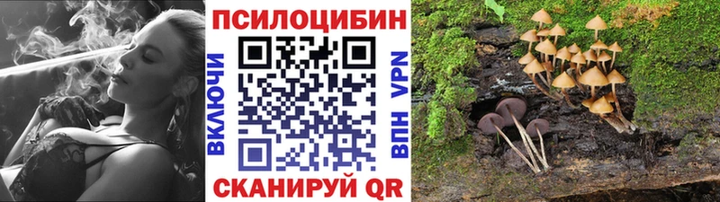 Псилоцибиновые грибы GOLDEN TEACHER  Волгодонск 